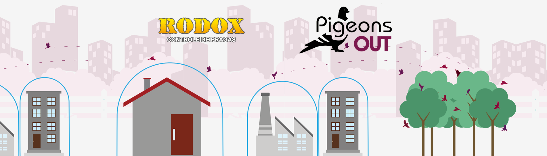 pigeons out