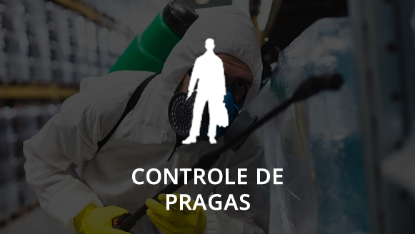 Controle de Pragas em Hortolandia