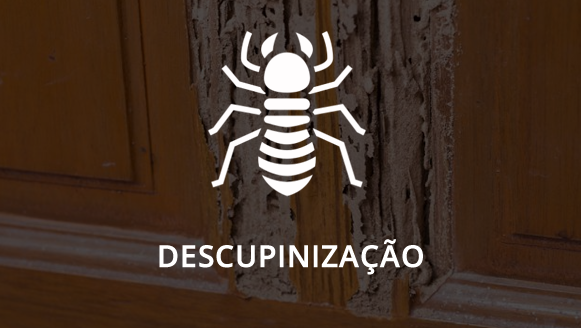 Descupinização em Hortolandia