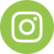 Ícone Instagram