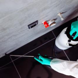 RODOX - DEDETIZAÇÃO EM HORTOLANDIA