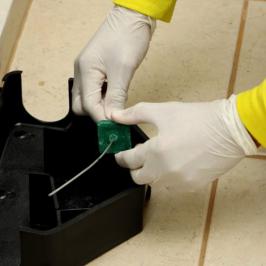 Desratização RODOX