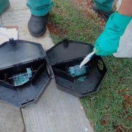 Desratização RODOX