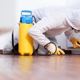 Descupinização - RODOX