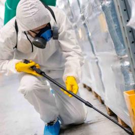 Controle de Pragas - RODOX