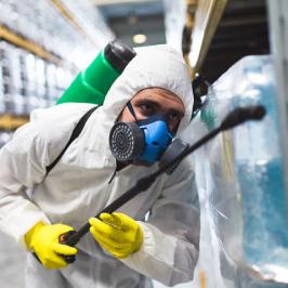 Controle de Pragas - RODOX