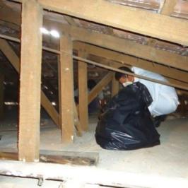 Limpeza de Forros - Rodox