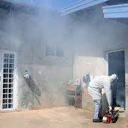 Controle ao Mosquito da Dengue - RODOX