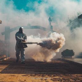 Controle ao Mosquito da Dengue - RODOX