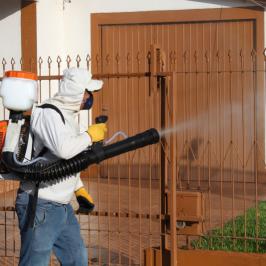 Controle ao Mosquito da Dengue - RODOX