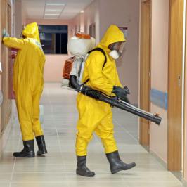 Sanitização - Rodox