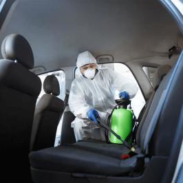 Dedetização automotiva - RODOX