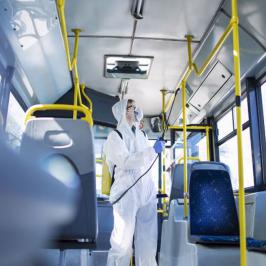 Dedetização automotiva - RODOX