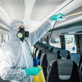 Dedetização automotiva - RODOX